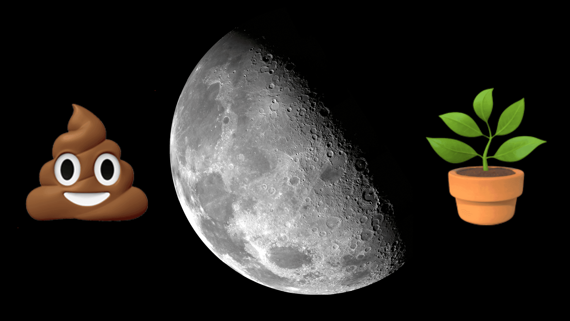 NASA Transforms Lunar Waste Into Lunar Garden Gold