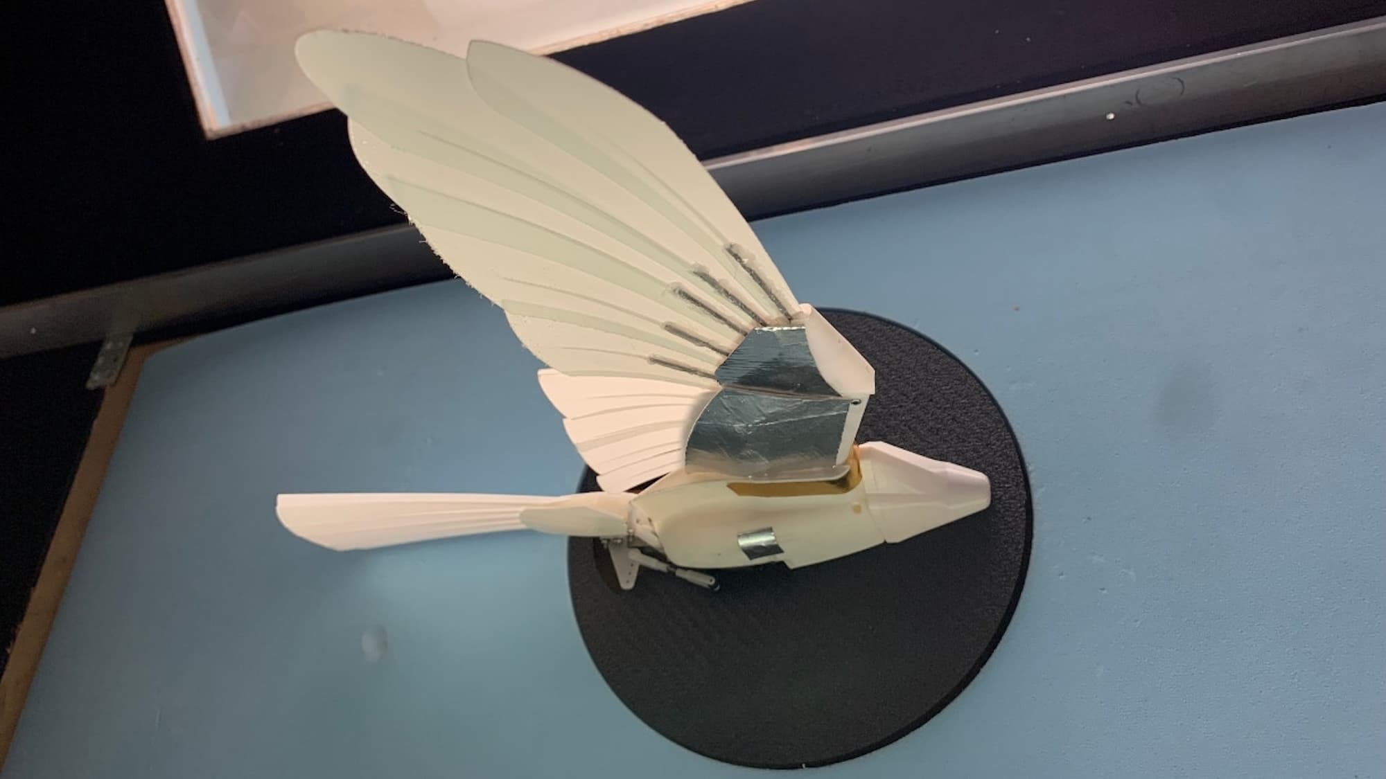 Tiny falcons inspire aircraft to weather turbulence better