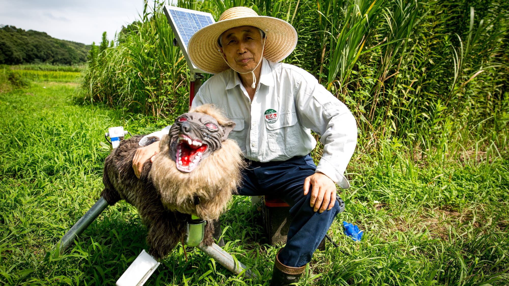 Japan's $4,000 Robot Wolves Can't Keep Up With Bears