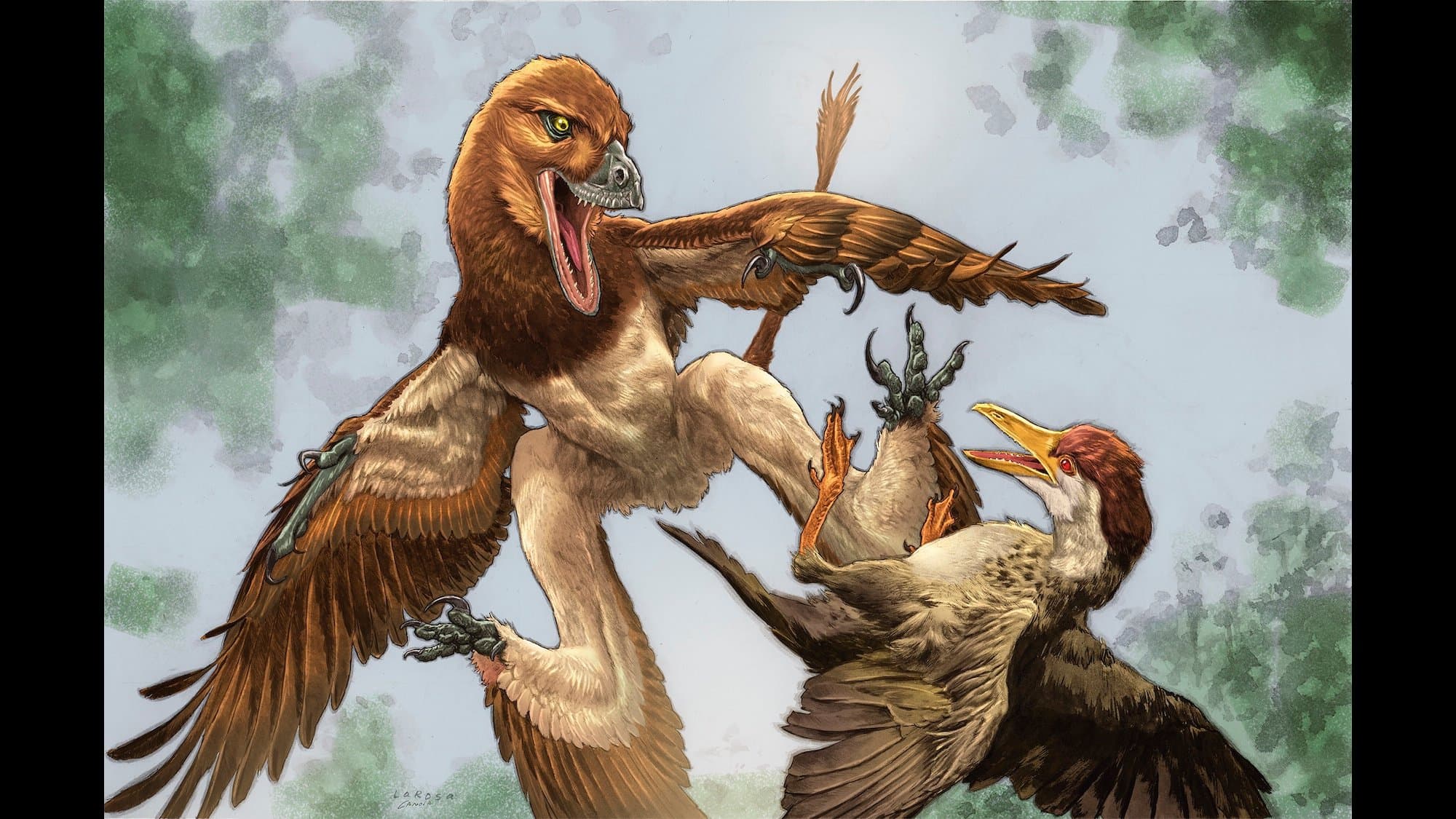 Four-Winged Dinosaur Mastered the Ancient Glide