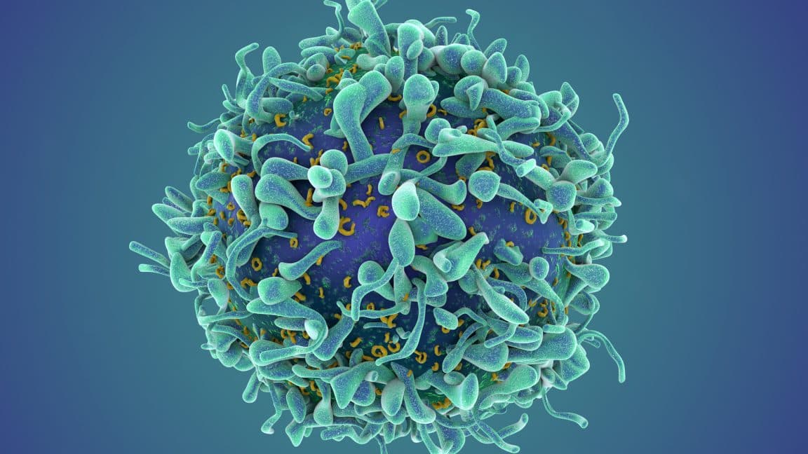 Cancer Breakthrough Could Rewire Autoimmune Disease Treatment