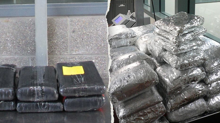 Border patrol intercepts staggering fentanyl haul in stunning Sunday bust