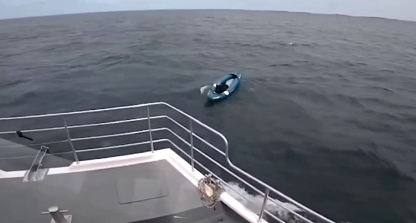 Kayaking pup rescued after unexpected ocean adventure