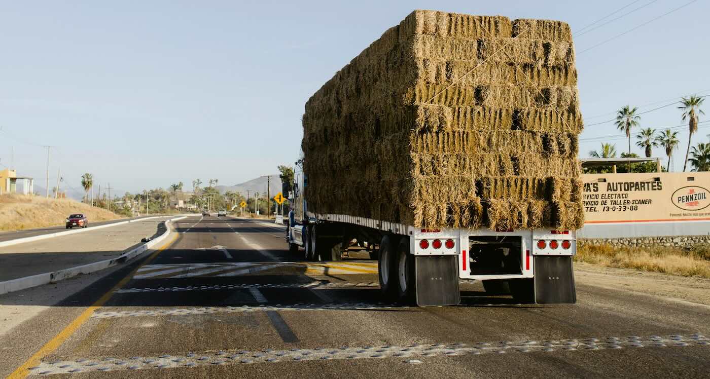 Community Steps Up for Ranchers After Historic Wildfires
