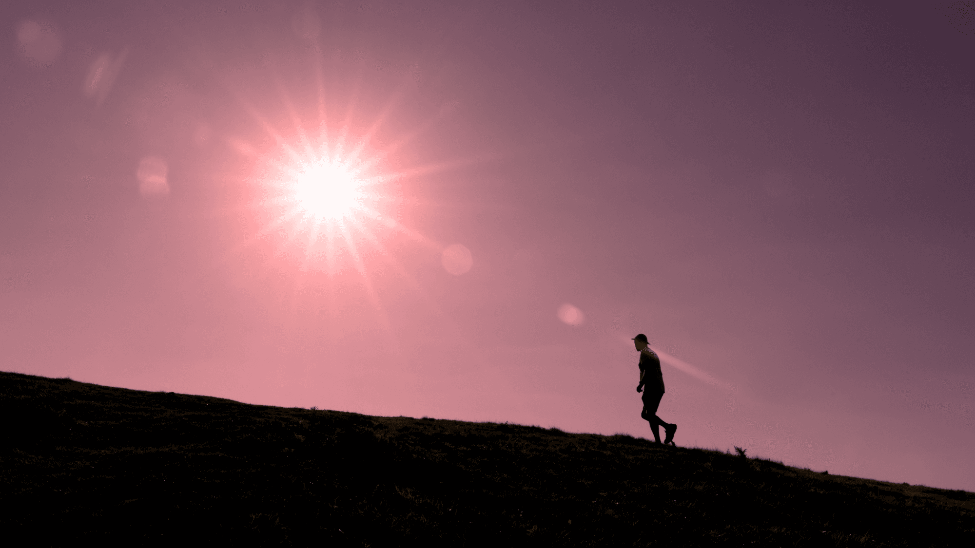 Students Engineer the Ultimate Heat-Escape App