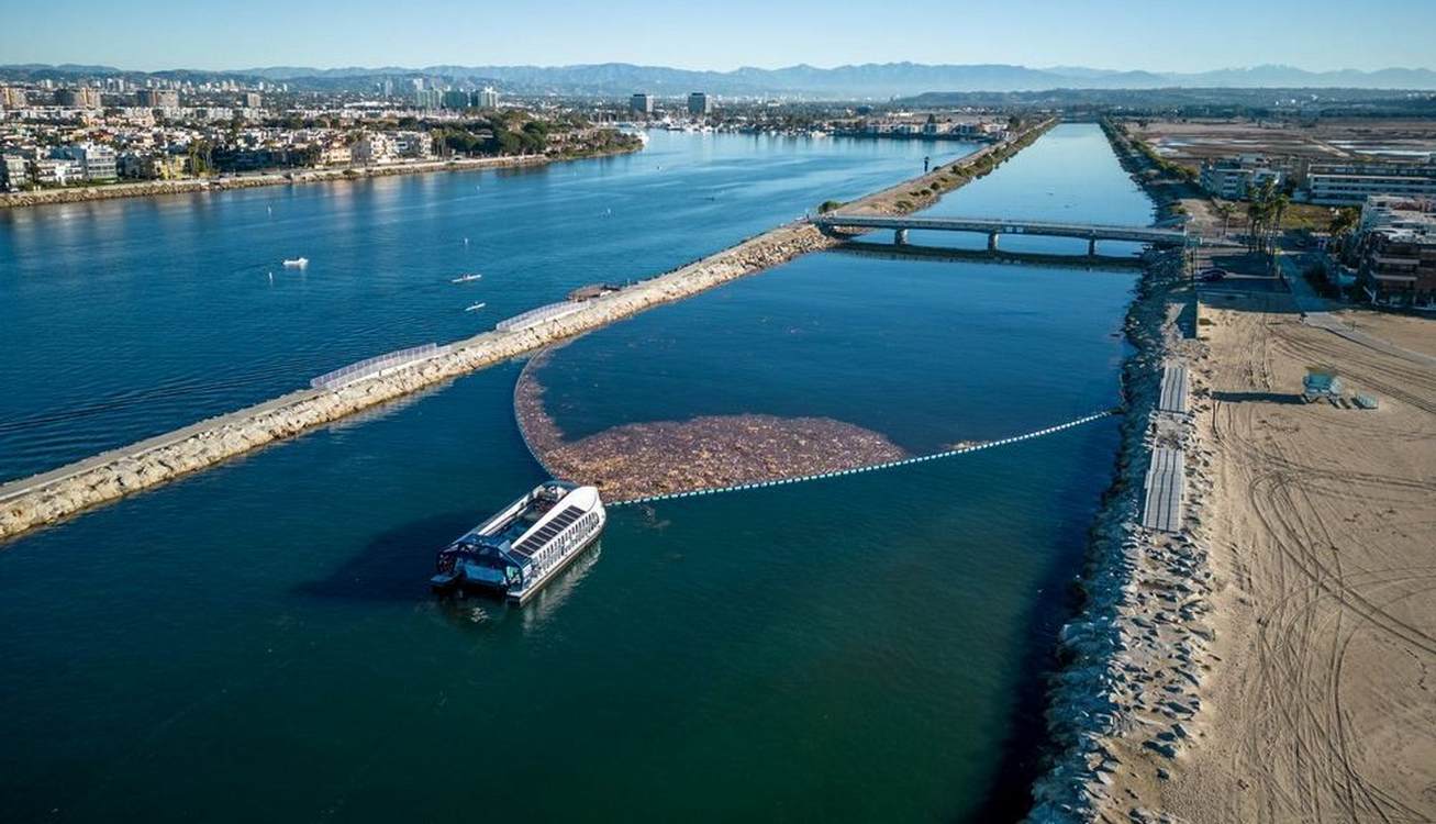 LA Rivers Getting Fresh Start Before 2028 Olympics