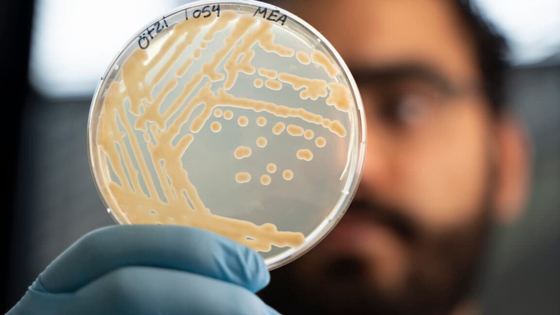 Ancient Microbes Thaw and Rise Again After 5,000 Years