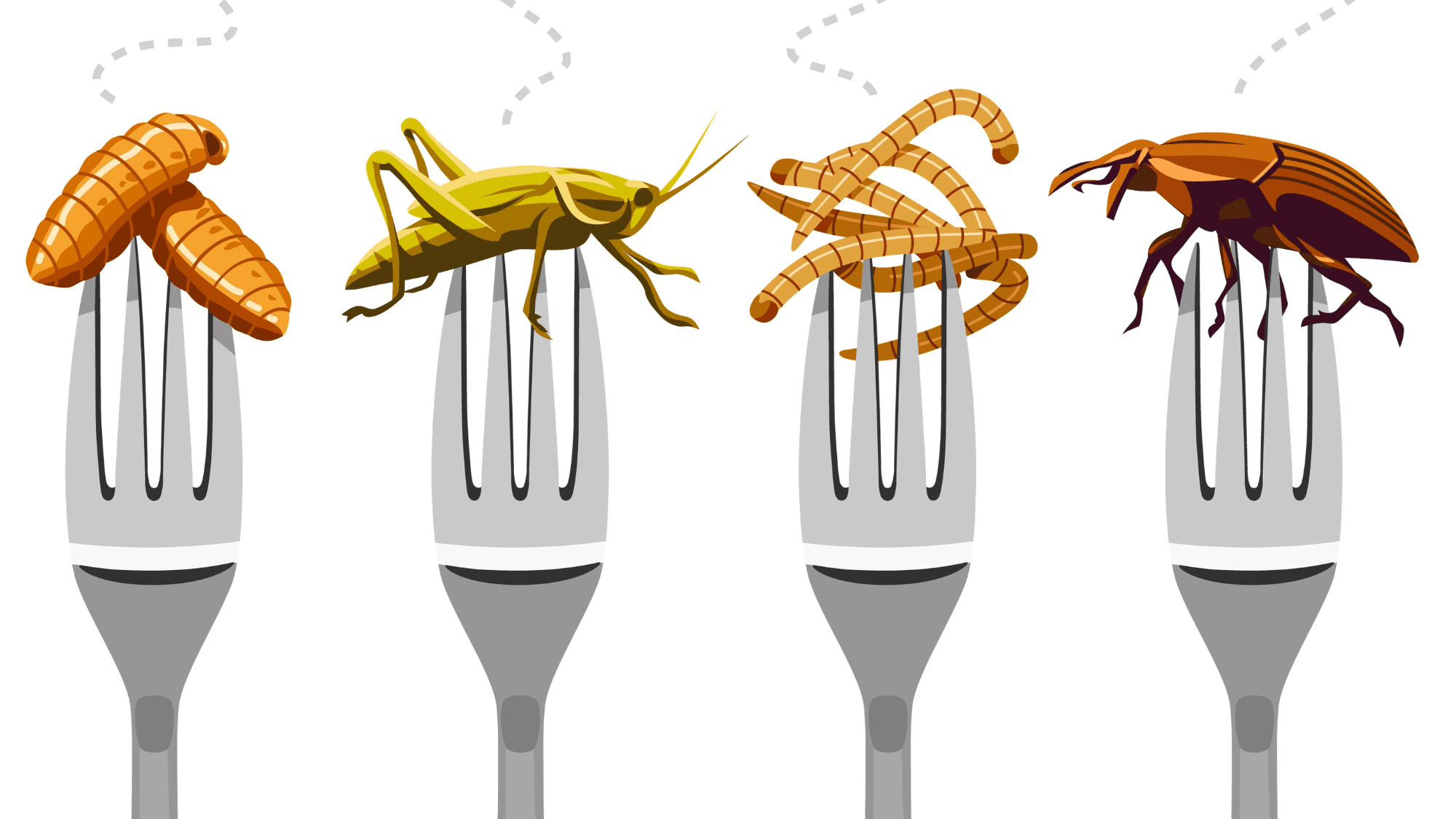 The Insect Protein Bar Revolution Begins
