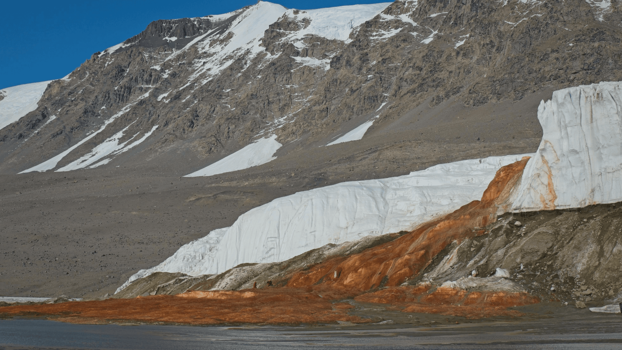 Life Thrives in Antarctica's Blood Falls—Miles From Ocean