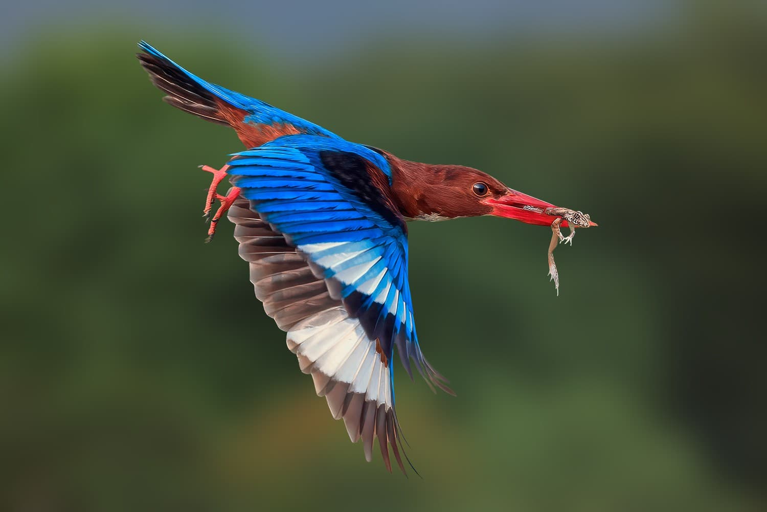 Stunning Color Photography Celebrates Earth's Natural Beauty