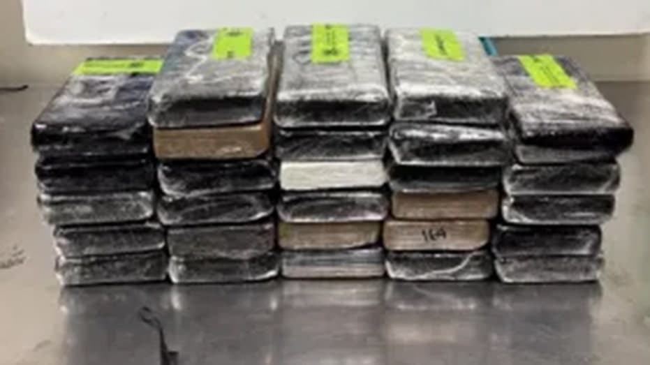 Feds Bust $3.7M Cocaine Hidden in Cucumber Shipment