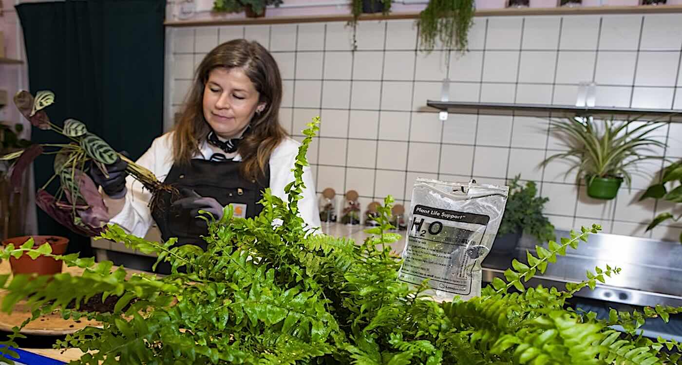 Britain's first plant hospital opens doors with loving care