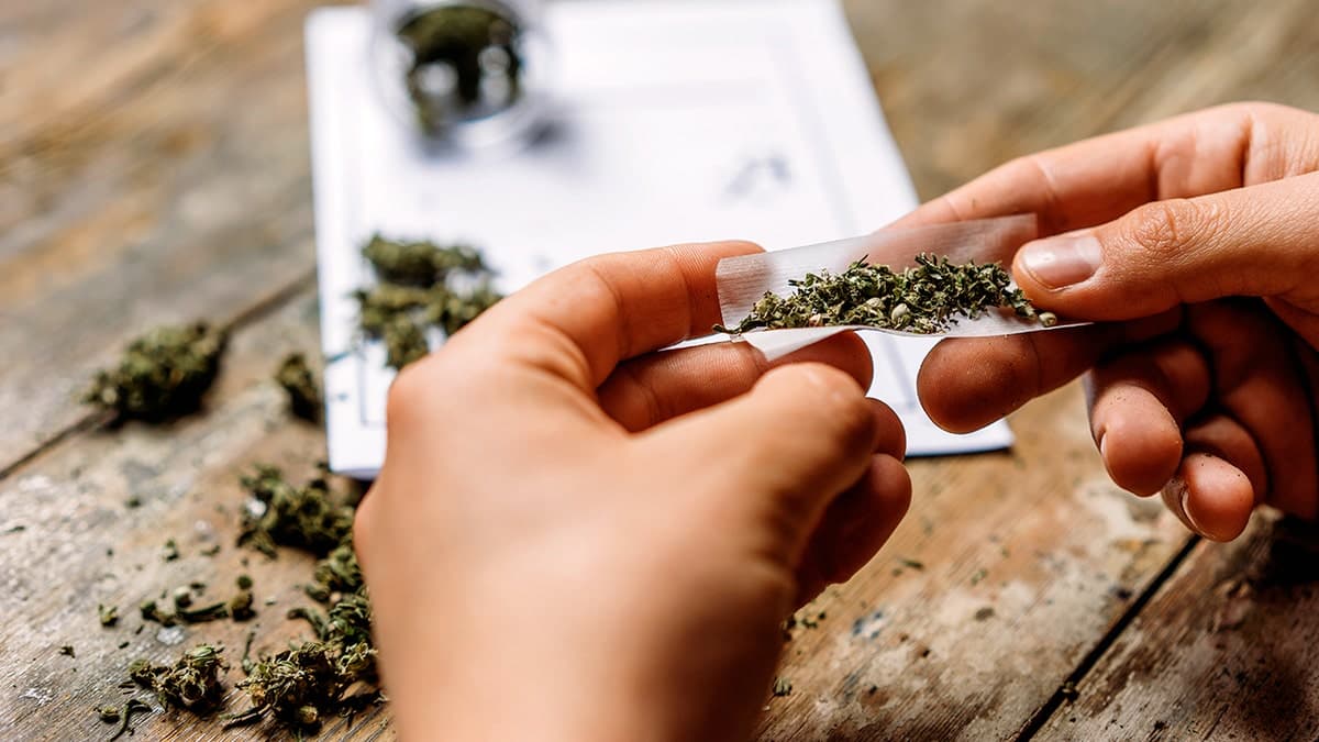 California pot legalization backfires: black market wins bigly