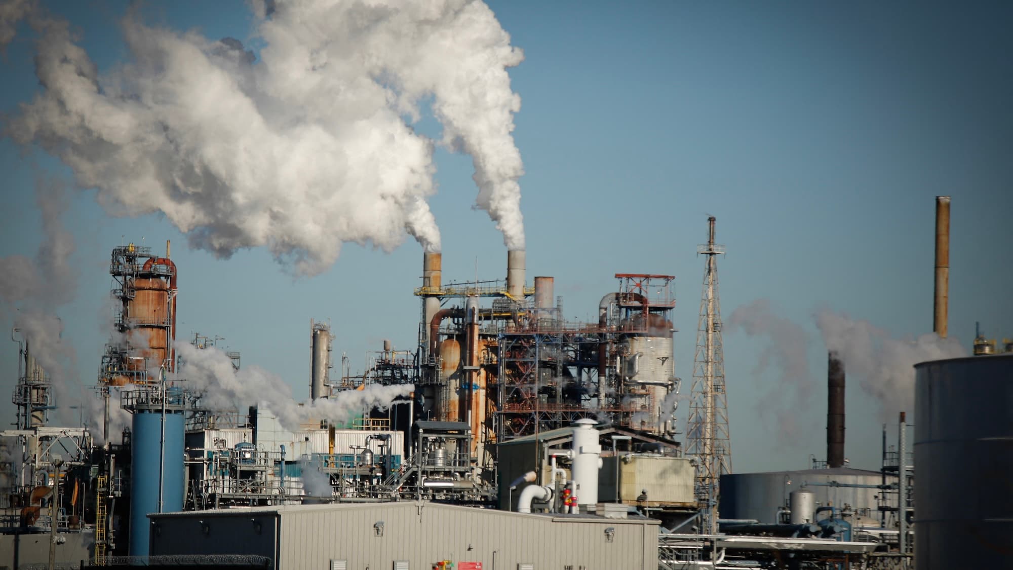 Pollution's Hidden Cost: How Air Quality Threatens Fertility