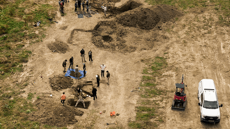 Shelter horror: 117 dogs buried, cruelty probe launched